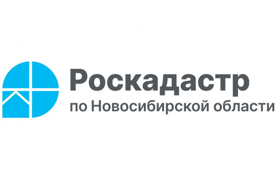 Спрос на сведения ЕГРН среди жителей Новосибирской области увеличился в два раза